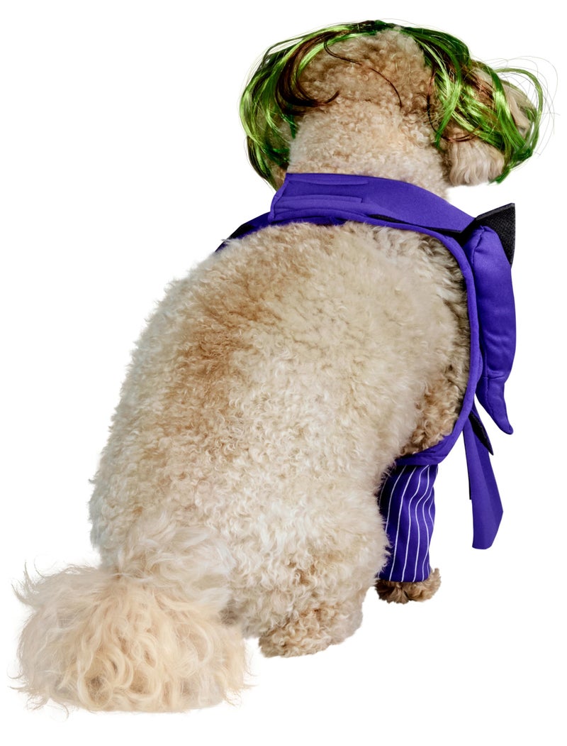 Rubies DC Batman The Dark Knight: The Joker Pet Costume for Dogs or Cats by Rubies, XL - Image 3